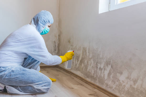 Bathroom Mold Removal assessment in Hatboro bathroom