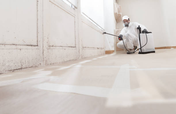 Black mold remediation team in Hatboro